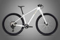 Warrior Pro - LT - Twitter Carbon Mountain Bike